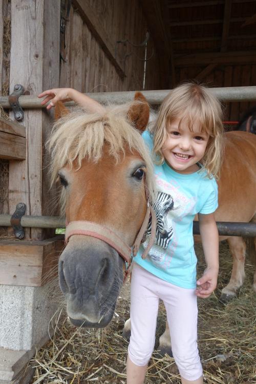 Pony lieb haben