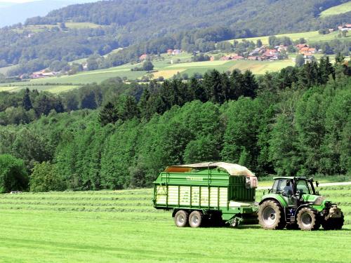 Ernte auf dem Ederhof