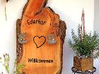 Füttern der Kühe und Kälbchen Füttern der Kühe und Kälbchen