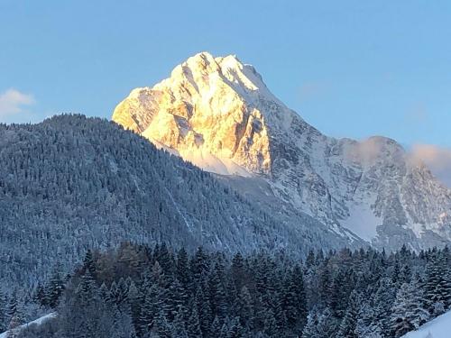 Blick FeWo  Silberdistel