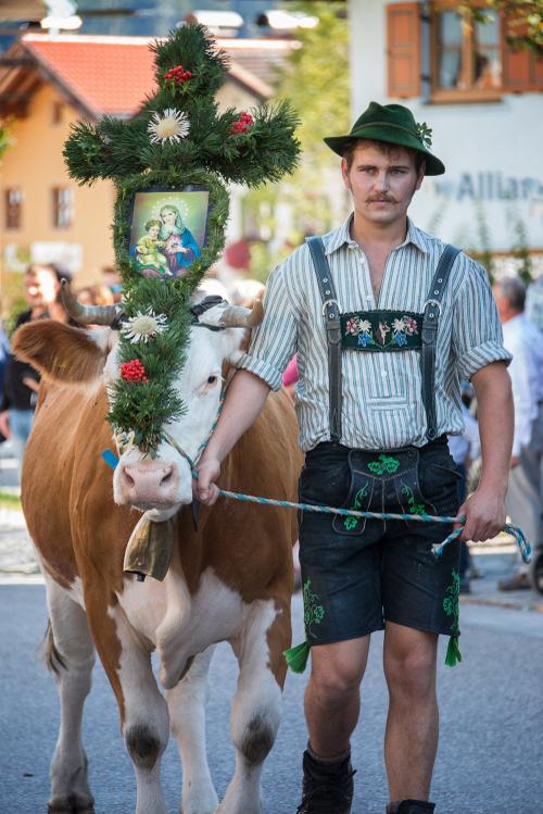 Almabtrieb