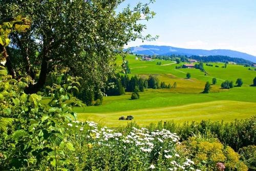 Blick vom Hof auf eines unserer Felder