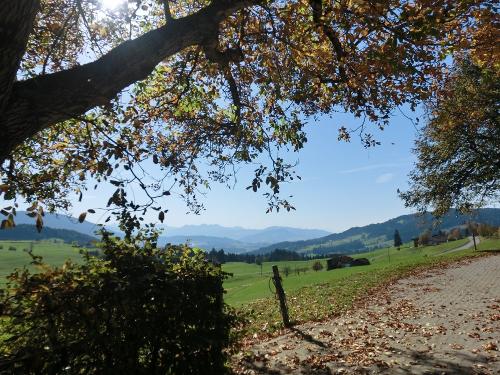 Herbst