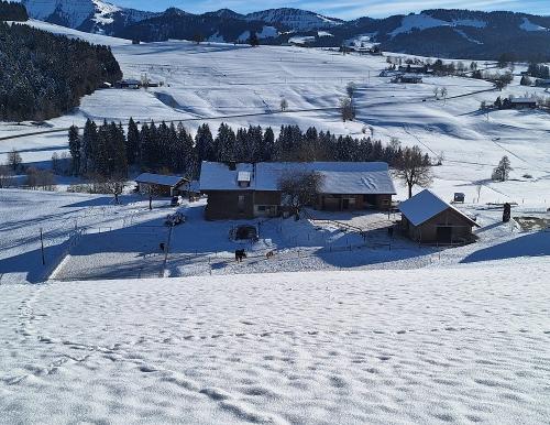Hof im Winter