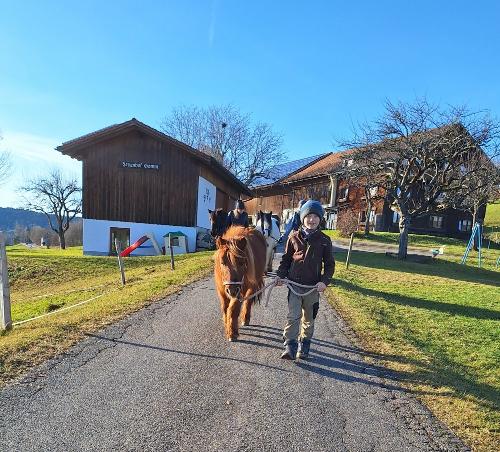Ponyausflug