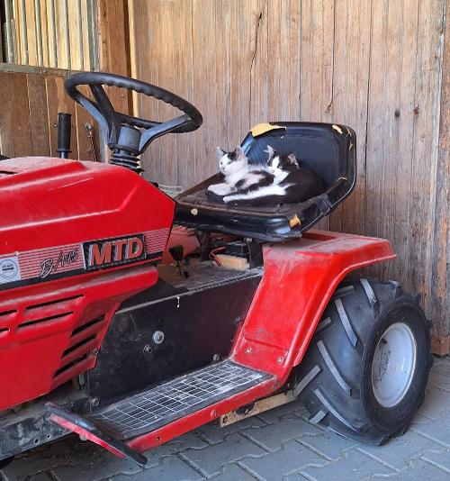 katzenpower
