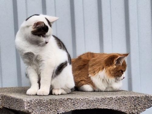 TerenceHill&BudSpencer