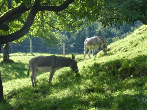 Lina und Felix