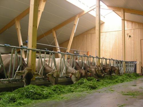 Stall