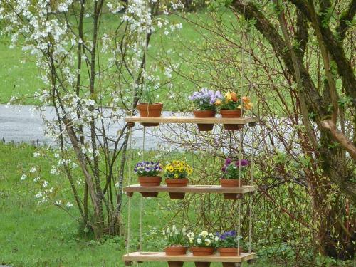 Frühling