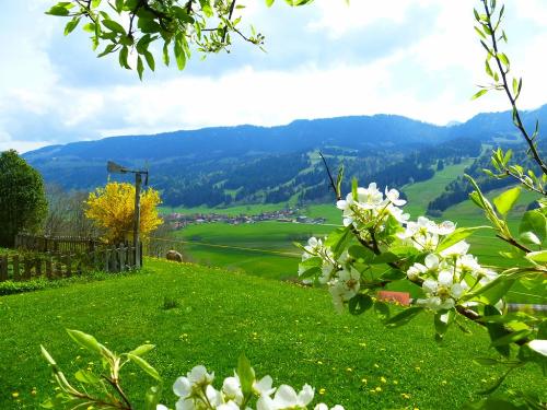 Frühling im Allgäu