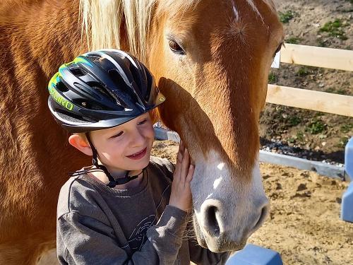 2021die2178 2021die2178