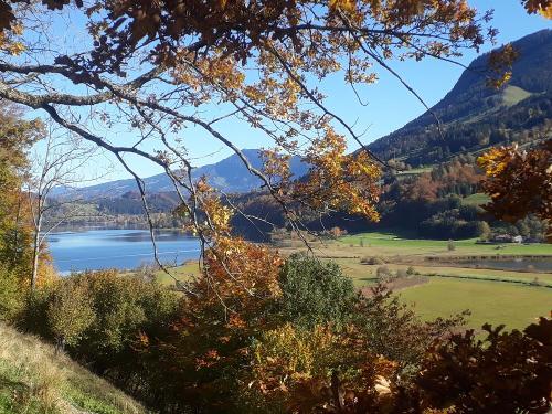 Herbsttage Herbsttage