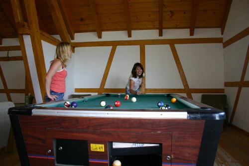 Ferienhof Jehle - Billard