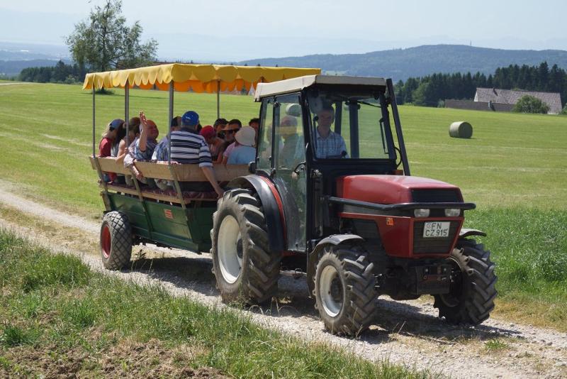 Hoch auf dem gelben Wagen ...