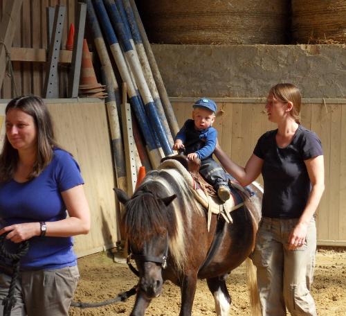 Ponyreiten schon für die Kleinsten