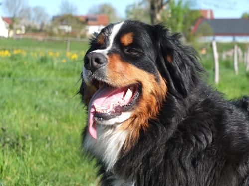 unsere LOTTE
