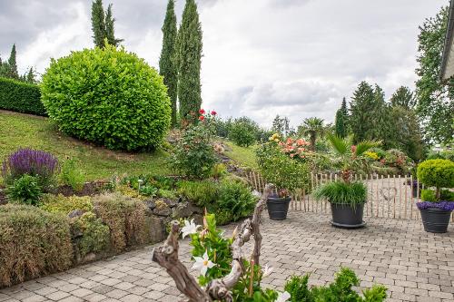 tolle Gartenanlage