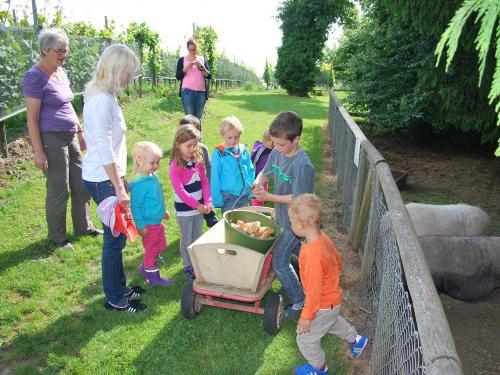kleiner Streichelzoo