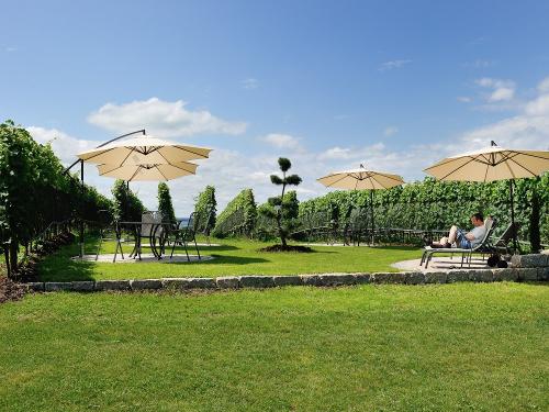 Liegewiese in den Weinreben