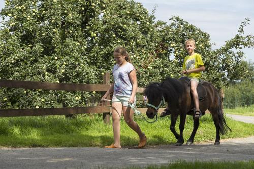 Ponyreiten
