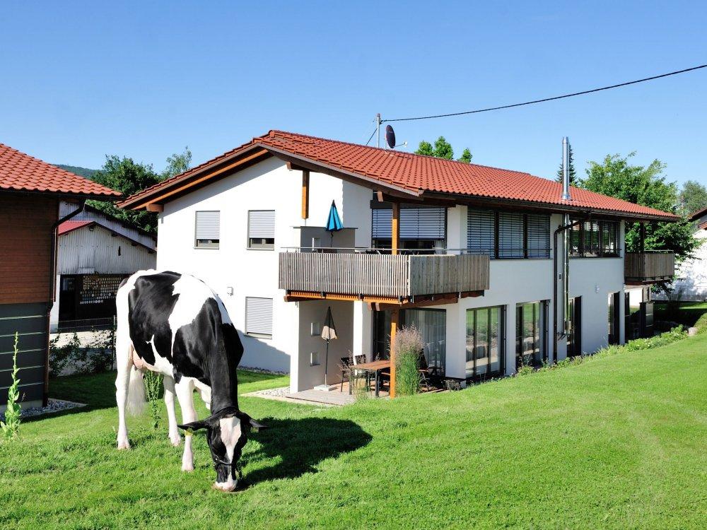 Willkommen auf dem Stüblehof