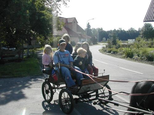 Kutschfahrt mit Maja