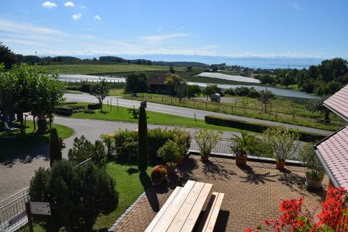Ausblick vom Weingut