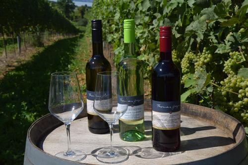 Weine vom Weingut Geiger