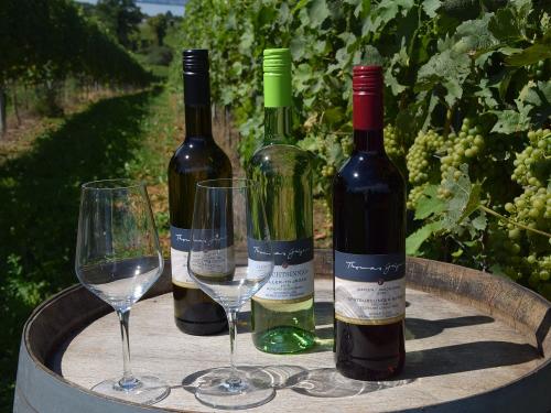 Weine vom Weingut Geiger