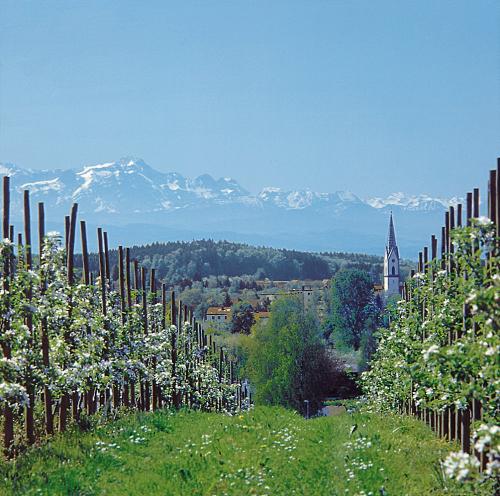 Ortschaft Oberteuringen