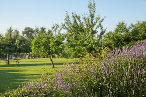 Große Gartenanlage