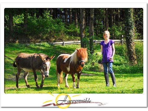 Unsere Tiere