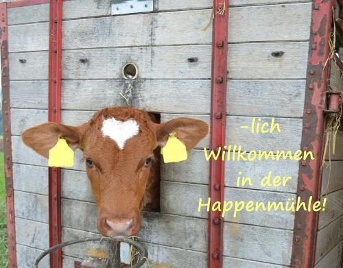 Unser Kälbchen Herzchen