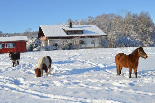 Winterimpressionen
