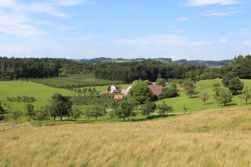 landschaft
