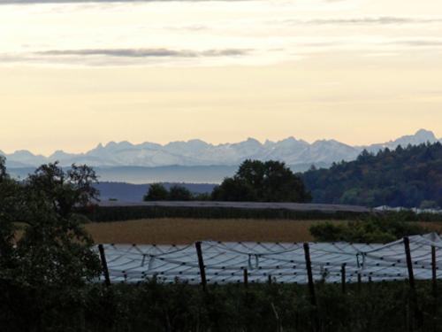herbstmorgen_im_linzgau herbstmorgen_im_linzgau