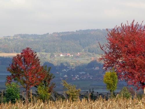 Herbststimmung Herbststimmung