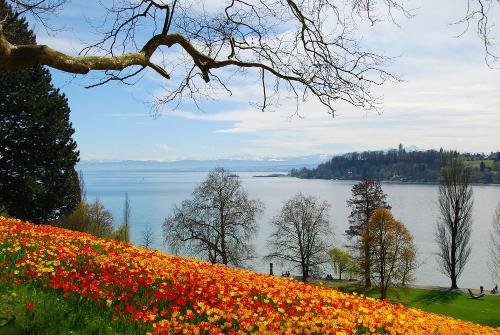 Insel Mainau