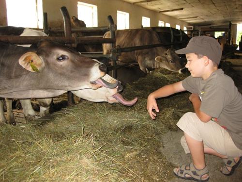 Kinder dürfen in den Stall