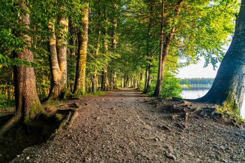 Ausflug Holzmühleweiher