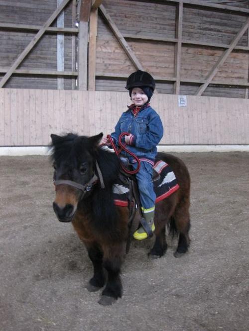 Ponyreiten