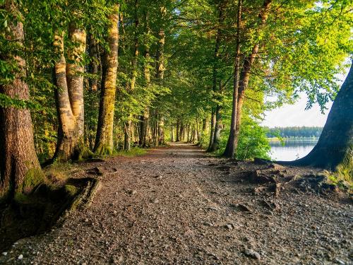 Ausflug Holzmühleweiher