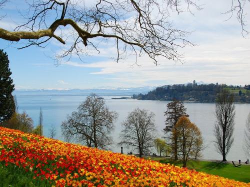 Insel Mainau