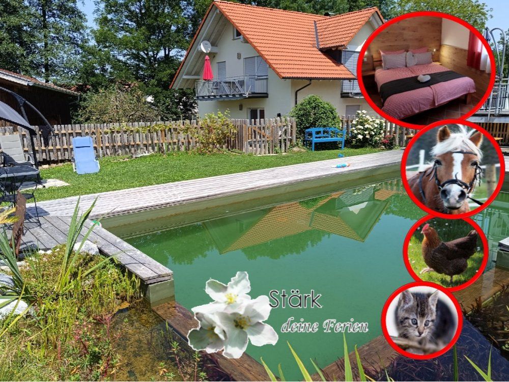 Ferienhof Stärk mit Schwimmteich