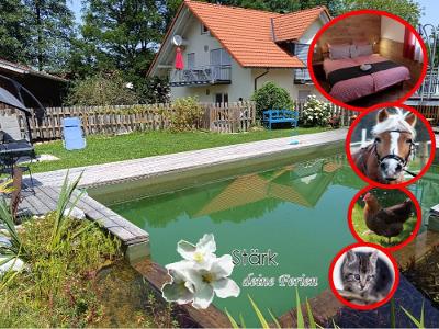 Ferienhof Stärk mit Schwimmteich