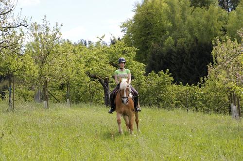 Ria vor der Kirschplantage