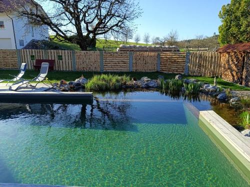 Schwimmteich-am-Morgen