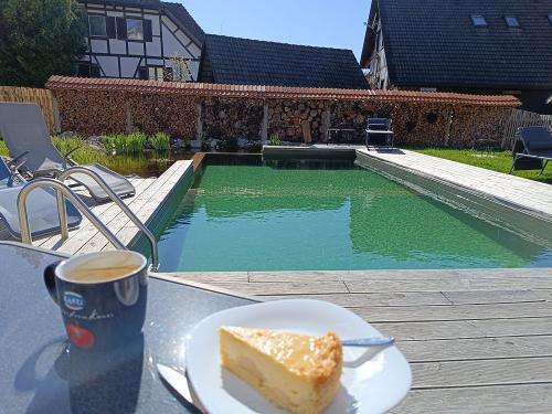 Schwimmteich mit besonderem Flair - geschützt durch einen Naturholz-Zaun