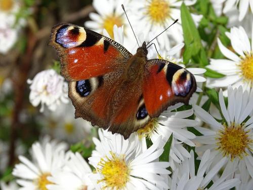 herrliche Natur